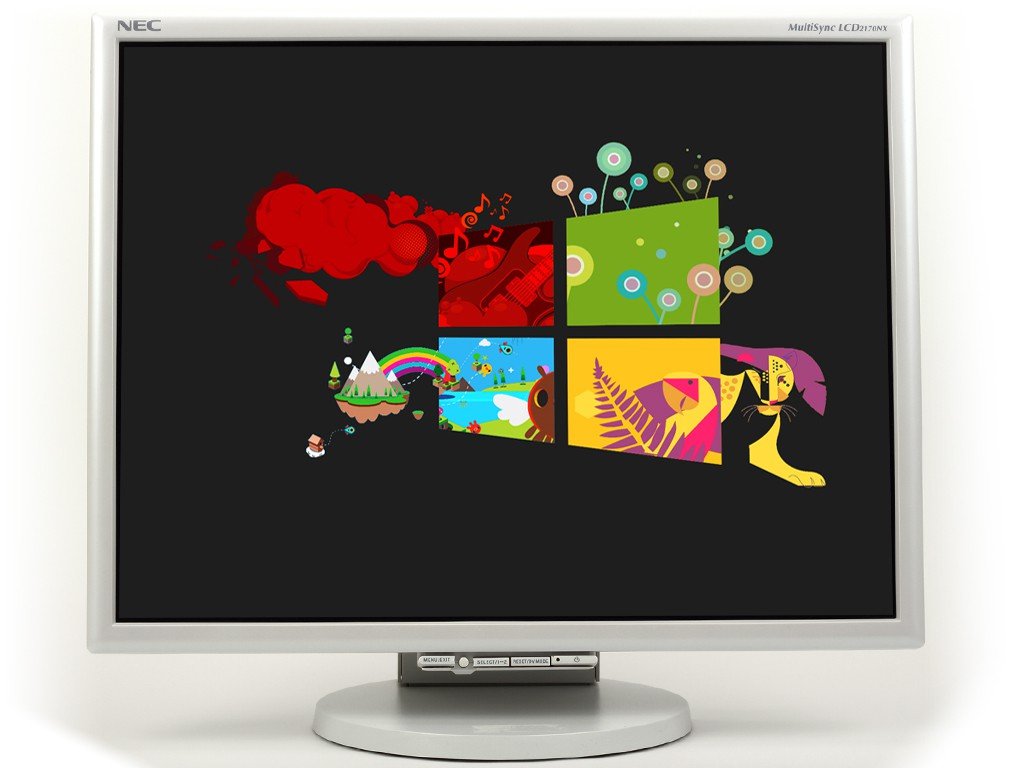 NEC MultiSync LCD2170NX 21